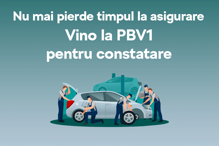 pbv1-autoconstatari